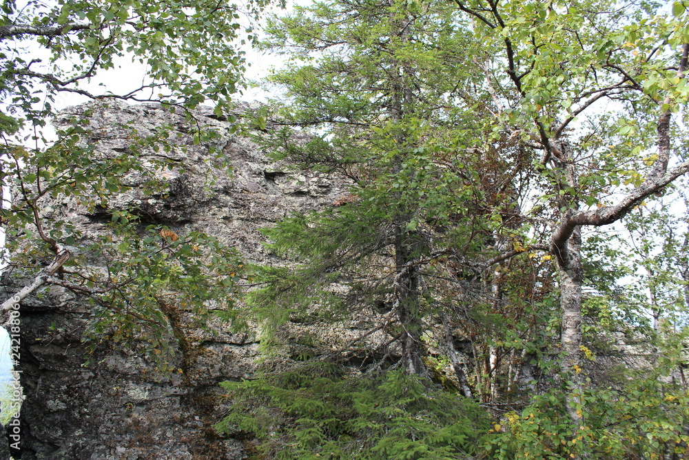 Landscape with rocks in the forest in the summer in the Urals of Russia. Landscape with rocks in the forest in the summer in the Urals of Russia.