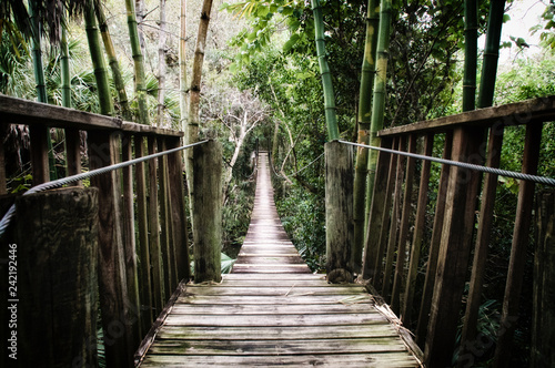 Old wooden suspension bridge over the Estero River in Florida surrounded by tropical vegetation stylized and desaturated. 