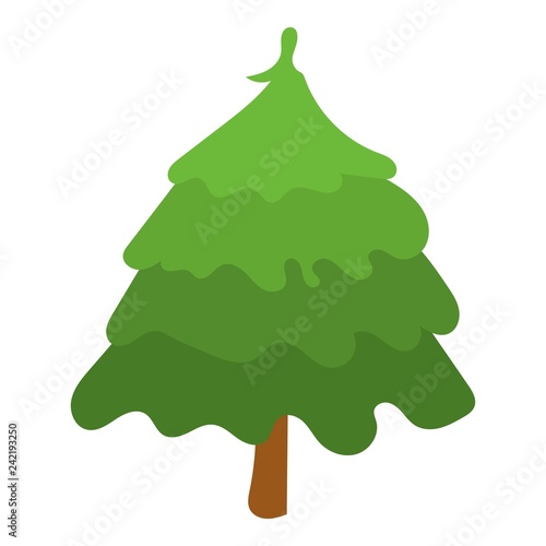Park fir tree icon. Isometric of park fir tree vector icon for web design isolated on white background