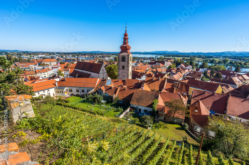 A view of the vineyards and the center of Ptuj city, church and old historical town of Ptuj, Slovnia. Blue sky, summer day in wine area of Ptuj, Ormoz and Jeruazalem.