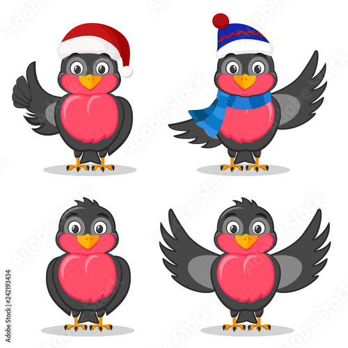 Set of four bullfinches with different wings on a white.