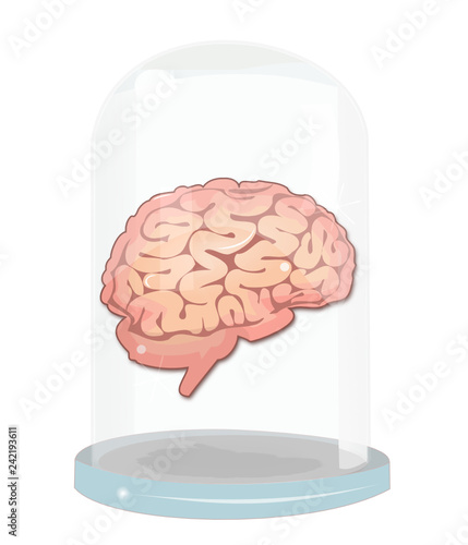 Le cerveau humain est fragile