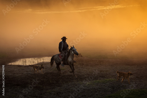 Cowboy with his dogs at sunset with dust in background