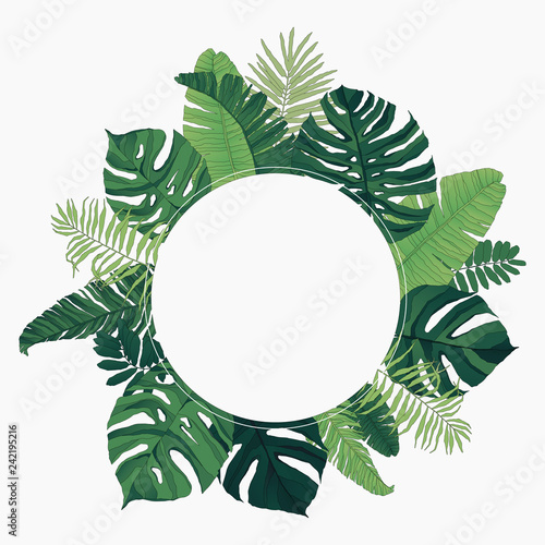 Tropical Leaf Frame Circle Illustration