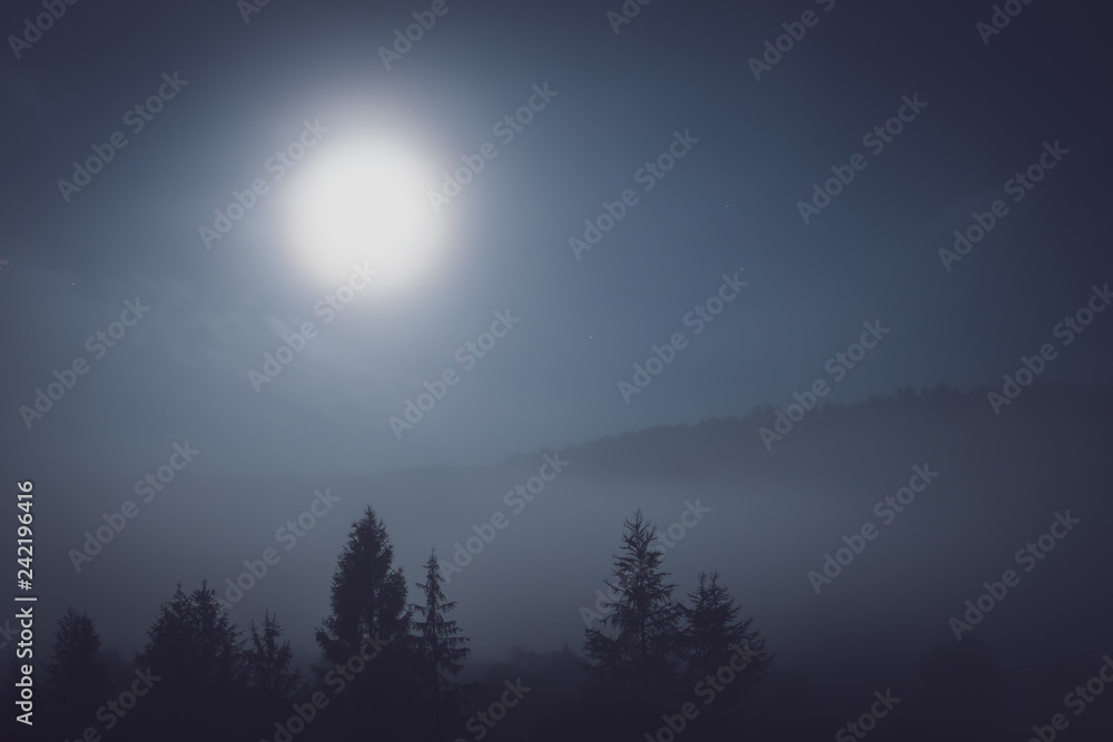 Obraz premium moon in the forest