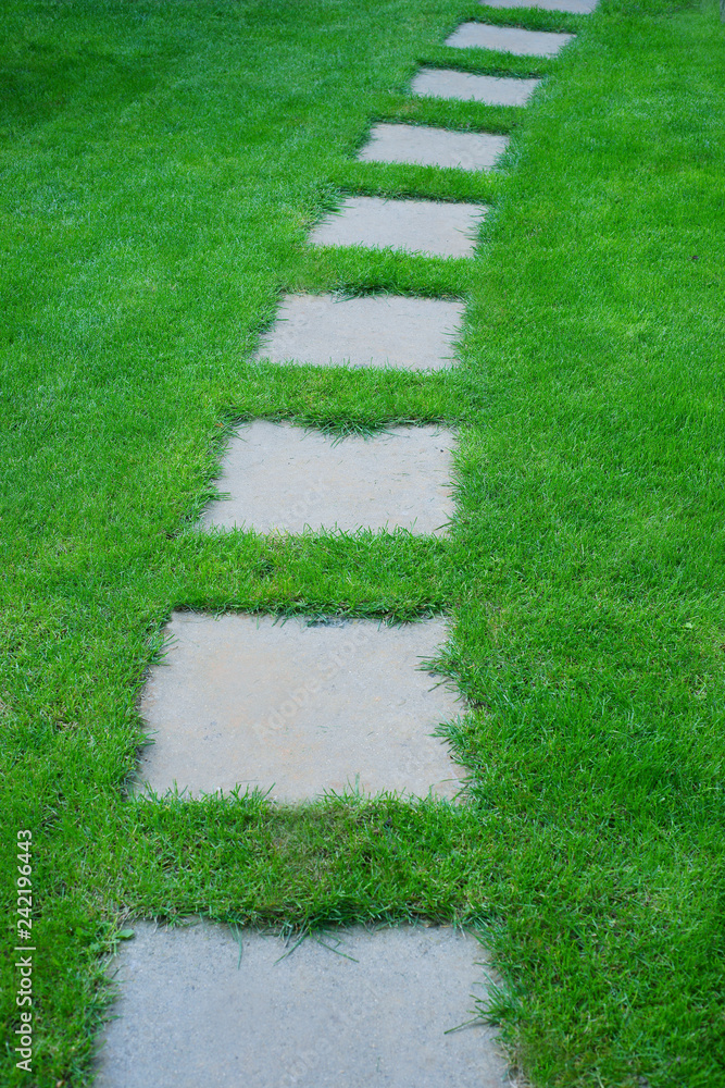 Beautiful lawn and path - obrazy, fototapety, plakaty 