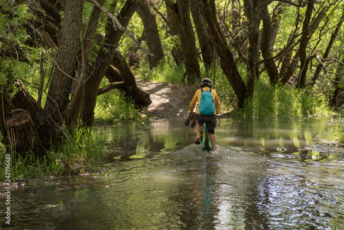 Female, baby boomer cycling through a flooded section of the bike path along the Clutha River near Clyde, New Zealand.