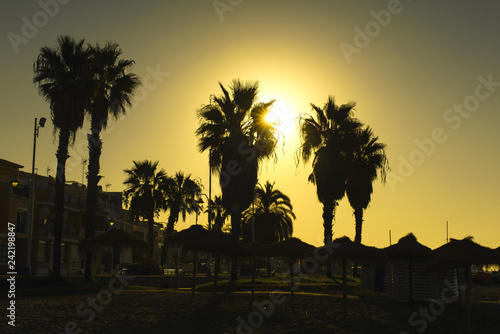 sunrise on bech in malaga with palm trees in front of view