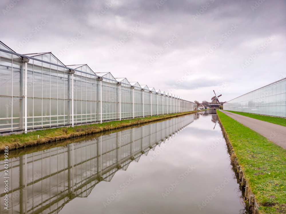 Fototapeta premium aerial of agricultural greenhouses in the Netherlands