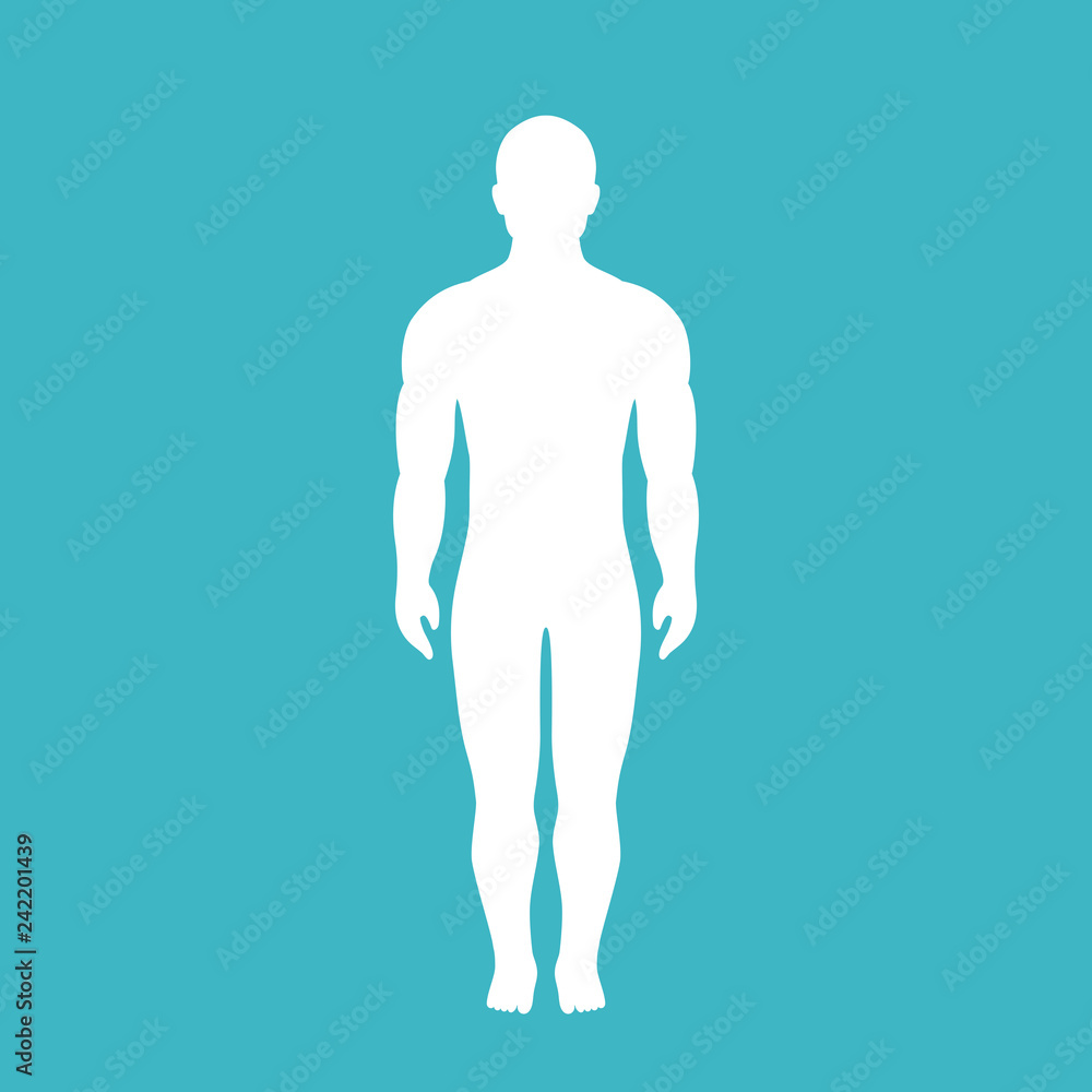 Human body vector silhouette Human body vector silhouette
