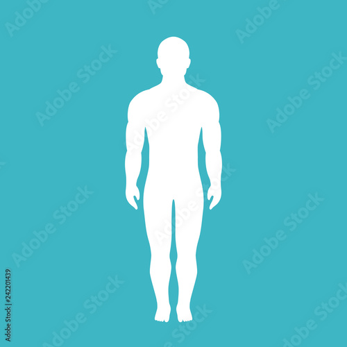 Human body vector silhouette