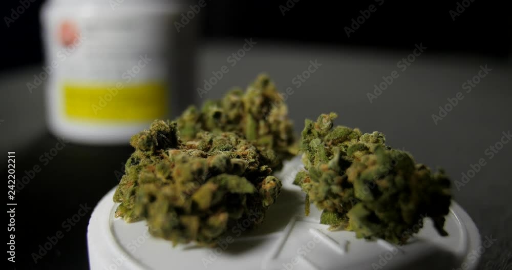 Macro shot of legal marijuanana Cannabis bud Macro shot of legal marijuanana Cannabis bud