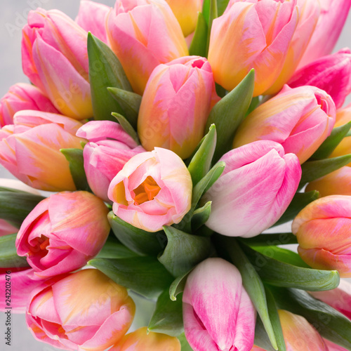 Spring flowers. Living coral tulip bouquet on the bokeh background.