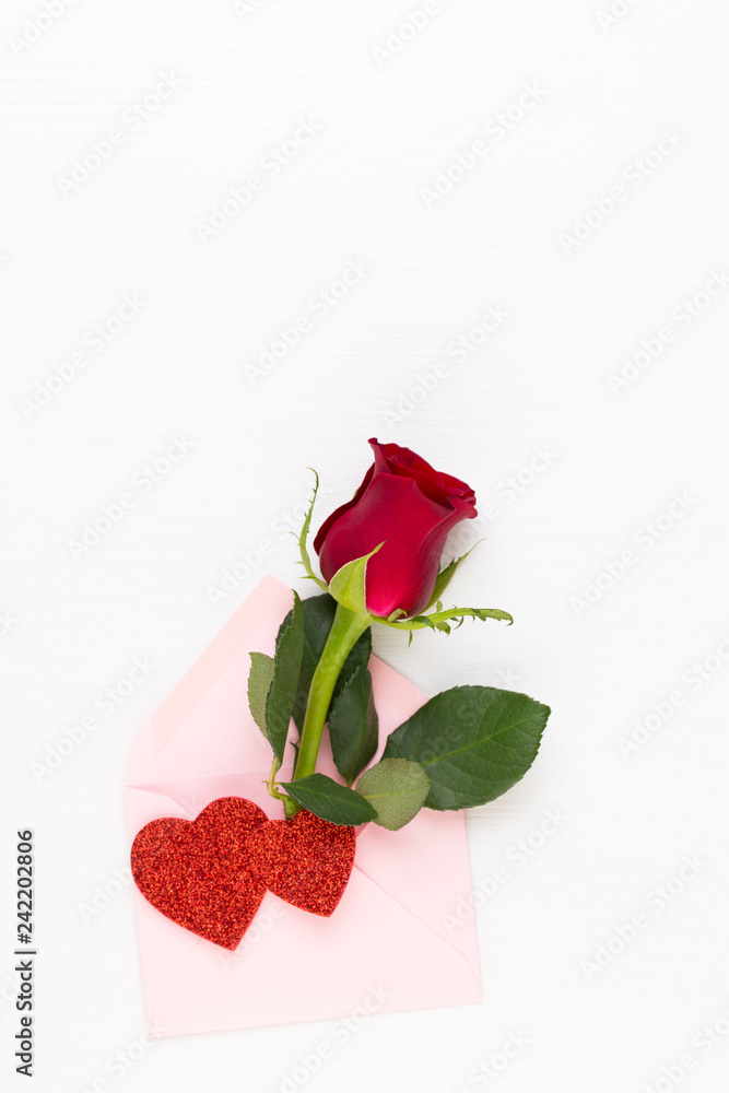 Red rose flowers on white background. Flat lay, top view, copy space. Red rose flowers on white background. Flat lay, top view, copy space.