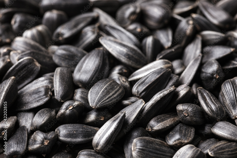 Black, natural, roast sunflower seeds. For texture or background Black, natural, roast sunflower seeds. For texture or background