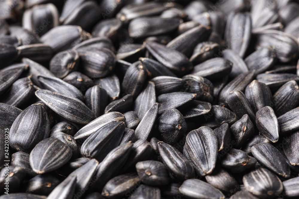 Black, natural, roast sunflower seeds. For texture or background Black, natural, roast sunflower seeds. For texture or background