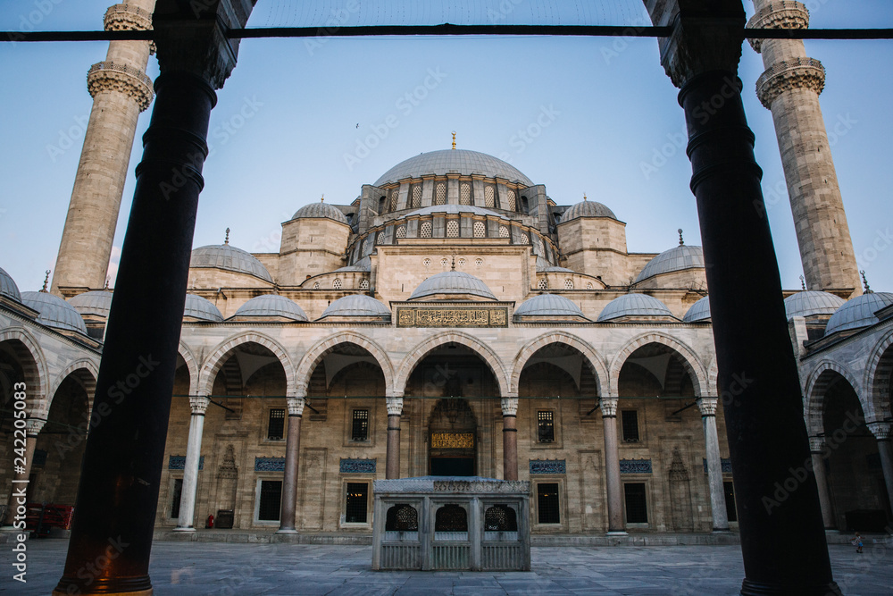 Fototapeta premium suleymaniye mosque in istanbul, turkey