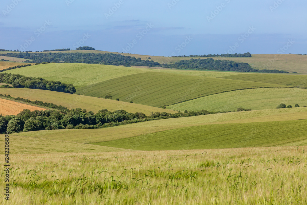 Rolling Sussex countryside on a sunny summer's day