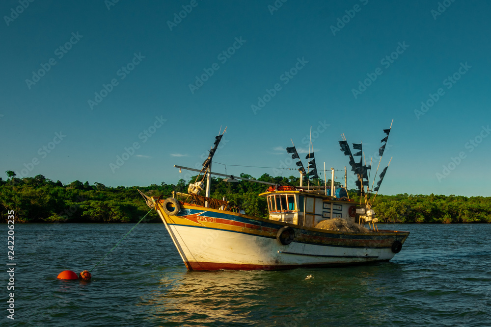 Fototapeta premium Boat on the bayou, Brazil, Barco no Manguezal de Santa Cruz, Aracruz, Espírito Santo , Brasil