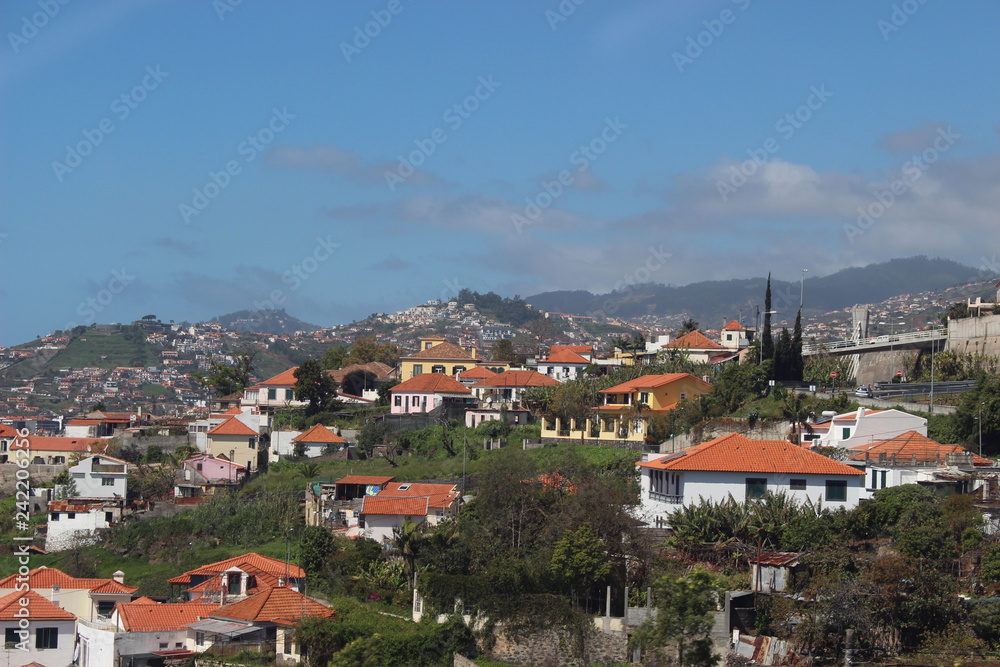 view of the city funchal madeira