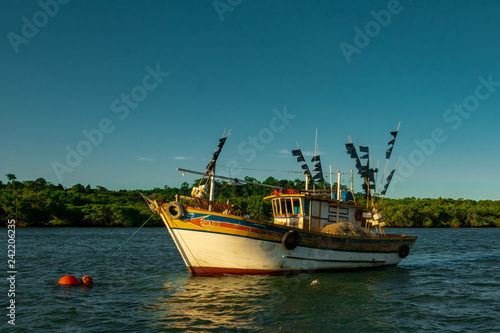 Boat on the bayou, Brazil, Barco no Manguezal de Santa Cruz, Aracruz, Espírito Santo , Brasil