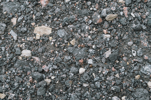 Wallpaper Mural Natural asphalt texture, detailed wet tarmac closeup, rustic background, gravel Torontodigital.ca