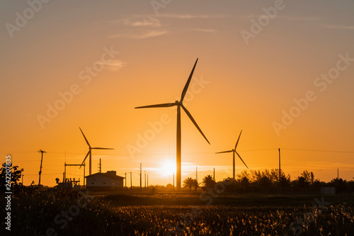 Windmills at sunset