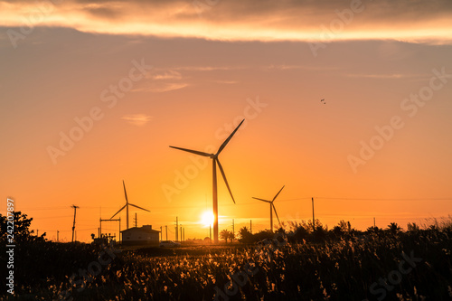 Wind turbines at sunset