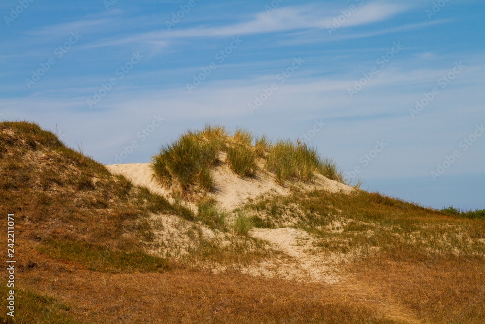 Sand dune with gras