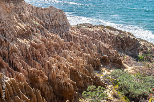 Landscape and ocean view from one of the hiking trails at Torrey Pines State Reserve and Beach in San Diego, California