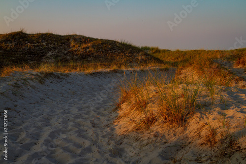 Sand track in the dunes