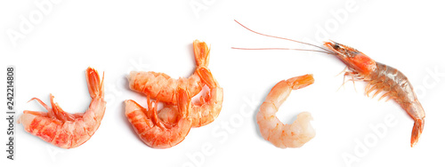Set of fresh shrimps on white background, top view