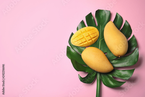 Flat lay composition with mango fruits on color background. Space for text photo