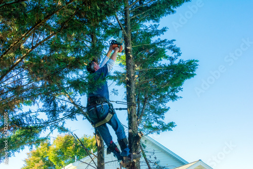 tree trimmer with wood chips and saw dust flying