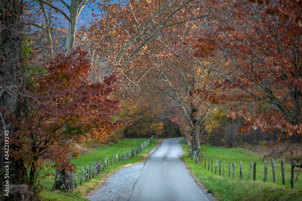 Country road