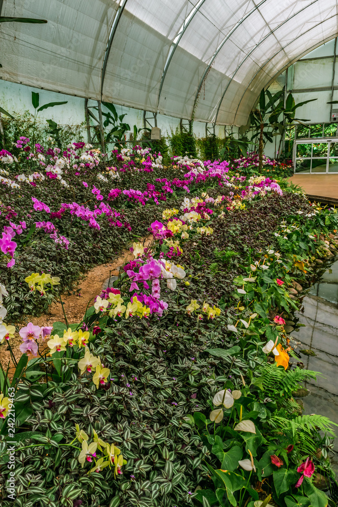 Orchid greenhouse