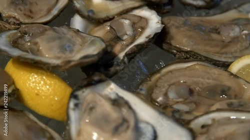 Raw oysters on platter, close up