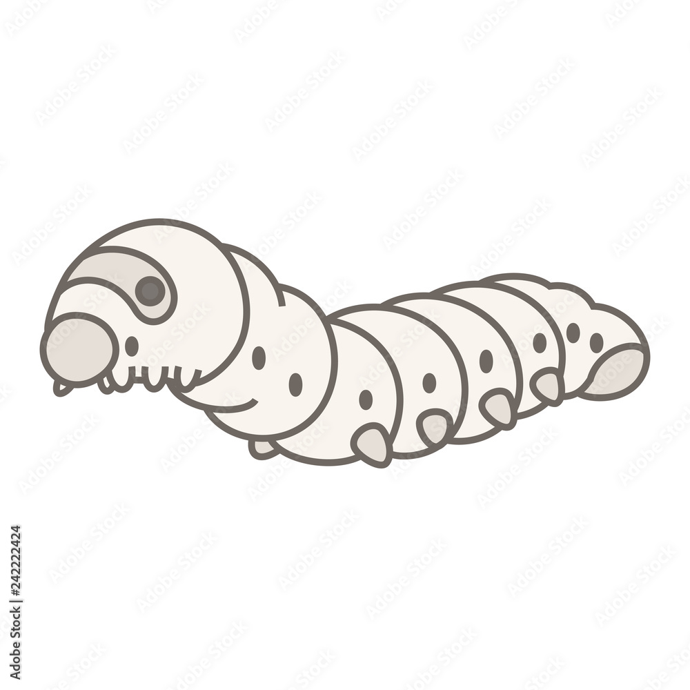 カイコガの幼虫 カイコガの幼虫