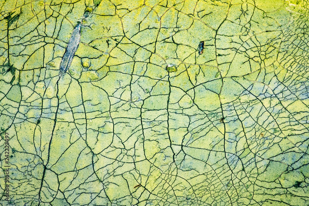 Obraz premium Crackle background texture
