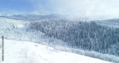 Wallpaper Mural Aerial view above snow covered tree forest and beautiful mountain landscape on clear winter day Torontodigital.ca