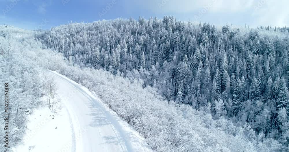 Aerial shot of beautiful snow covered tree forest on bluebird winter day Aerial shot of beautiful snow covered tree forest on bluebird winter day