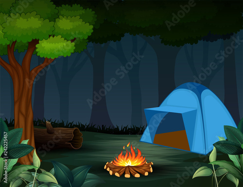 Tents with bonfire on dark night forest background