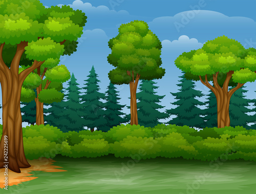 Cartoon of trees view in a forest