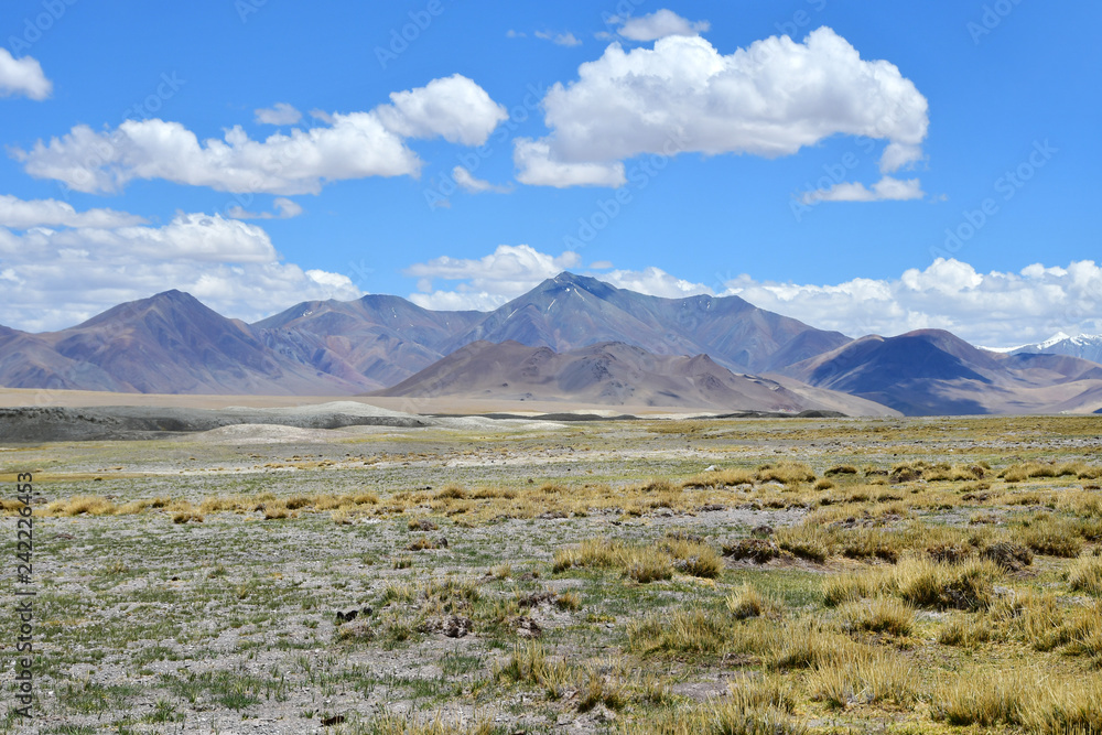China, Tibetan plateau near the village of Yakra in summer