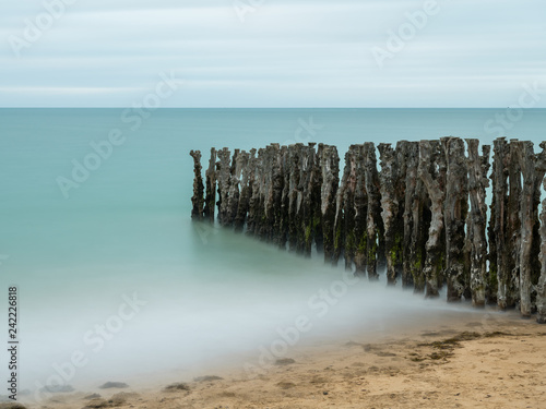 Old weathered tree trunks on the beach of Saint Malo