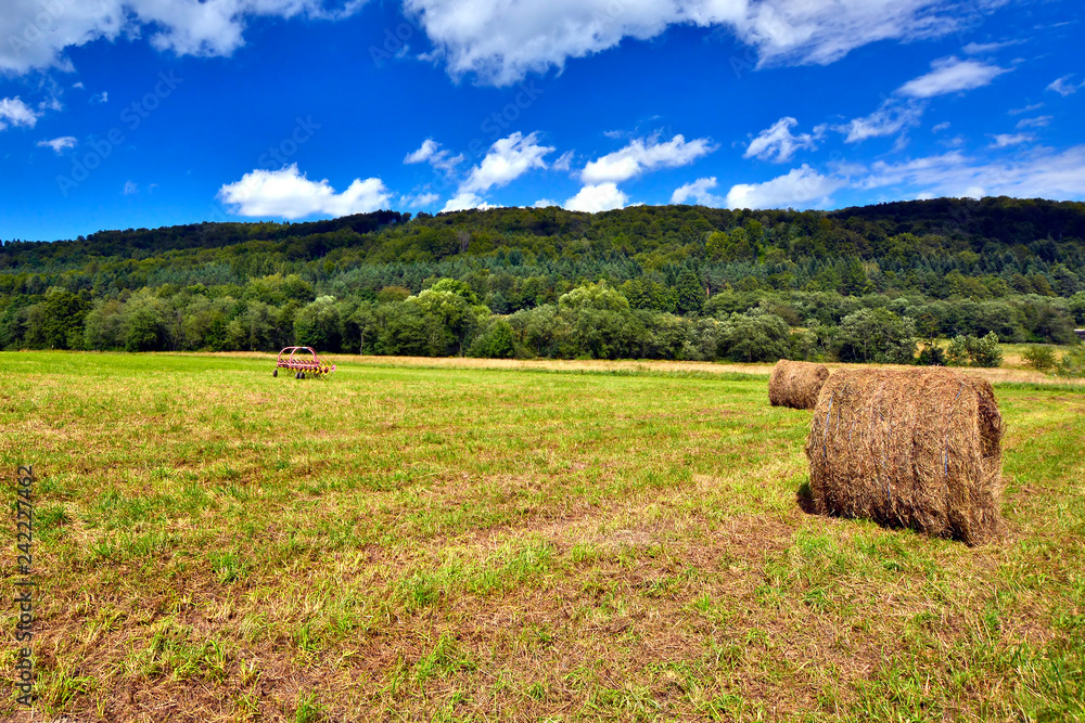 Landscape with hay bales on the grass, Low Beskids (Beskid Niski), Poland