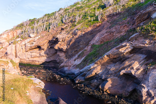 view of the canyon