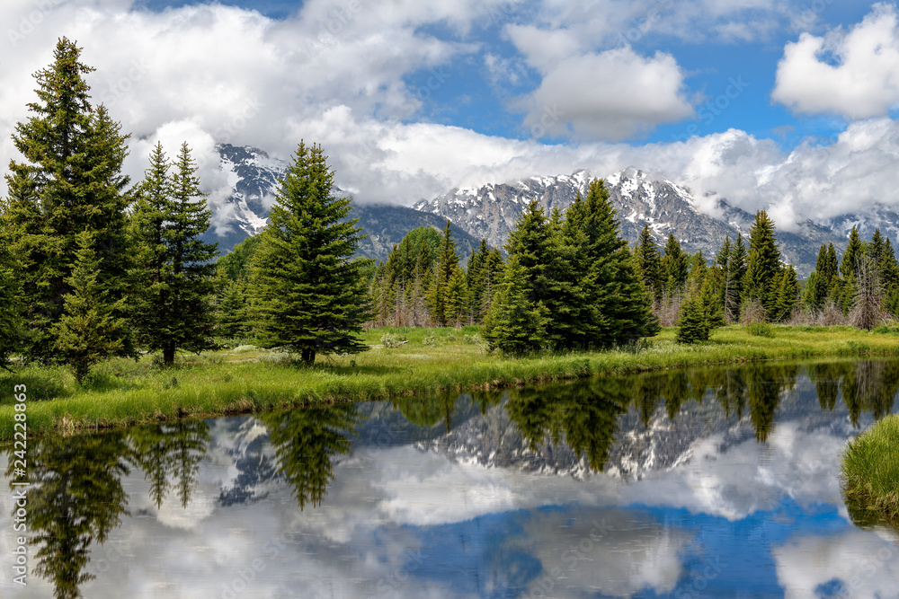 Schwabacher landing in early morning with its reflection. Grand Teton national park, WY