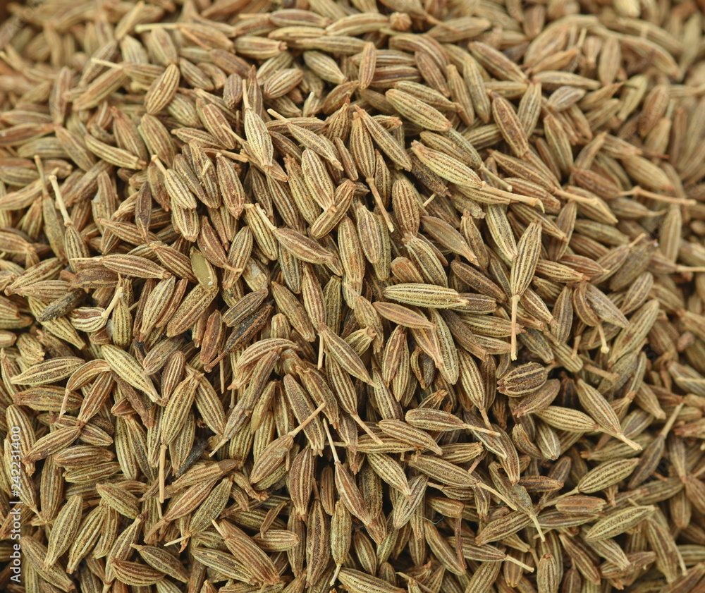 Caraway seeds full frame image background