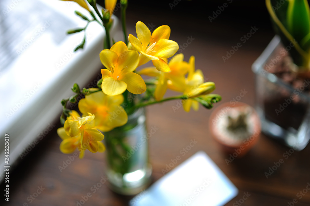 窓辺 フリージア 花瓶 花 生ける 生花 出窓 Stock Photo Adobe Stock